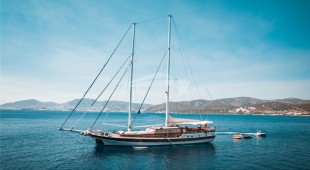 Wicked Felina East Mediterranean