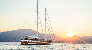 Wicked Felina East Mediterranean