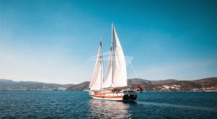 Wicked Felina East Mediterranean