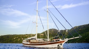 Wicked Felina East Mediterranean