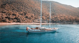 Wicked Felina East Mediterranean