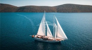 Wicked Felina East Mediterranean