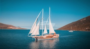 Wicked Felina East Mediterranean