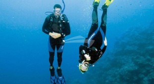 Wind Chaser I Caribbean