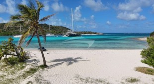 Yolo Caribbean, West Mediterranean