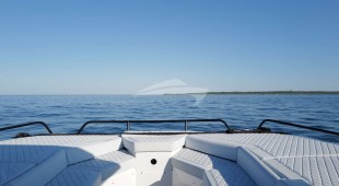 Zest East Coast United States