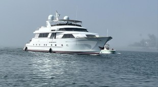 Ziba West Coast United States