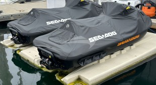 Ziba West Coast United States