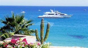 Ziba West Coast United States