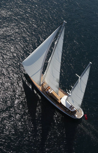 In Love Yacht Photos Pics 