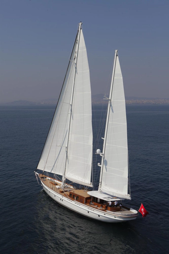 In Love Yacht Photos Pics 