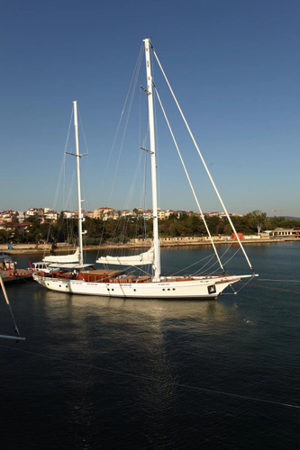 In Love Yacht Photos Pics 