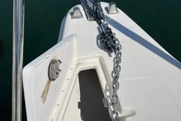 Empty Nest Yacht Photos Pics 