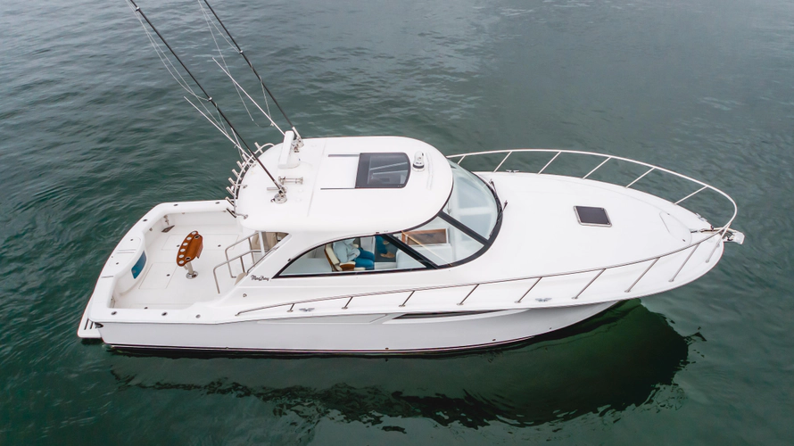 Commodore Two Yacht Photos Pics 