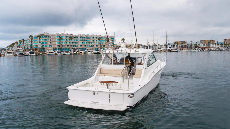 Commodore Two Yacht Photos Pics 