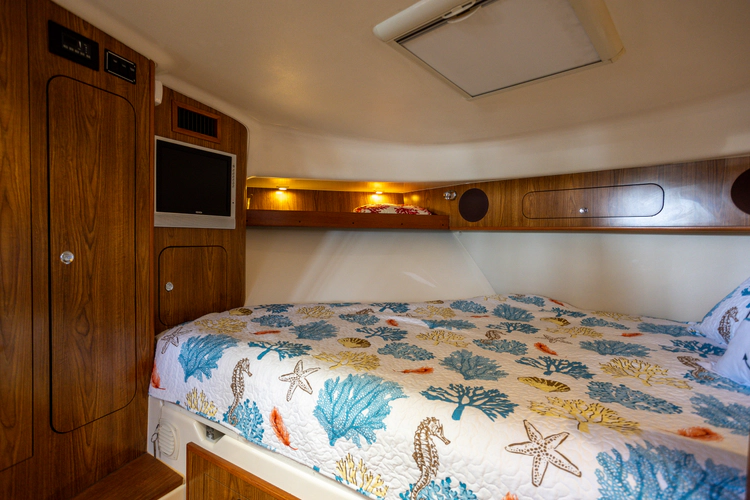 Lazy V Yacht Photos Pics 
