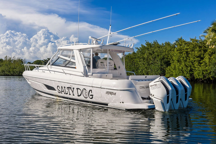 Salty Dog Yacht Photos Pics 
