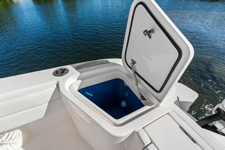 Salty Dog Yacht Photos Pics 