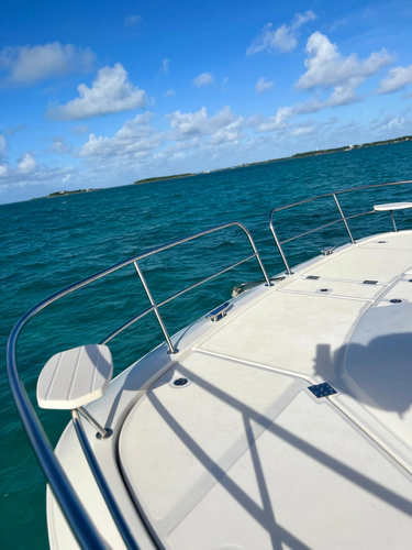 Gr8 Day Yacht Photos Pics 