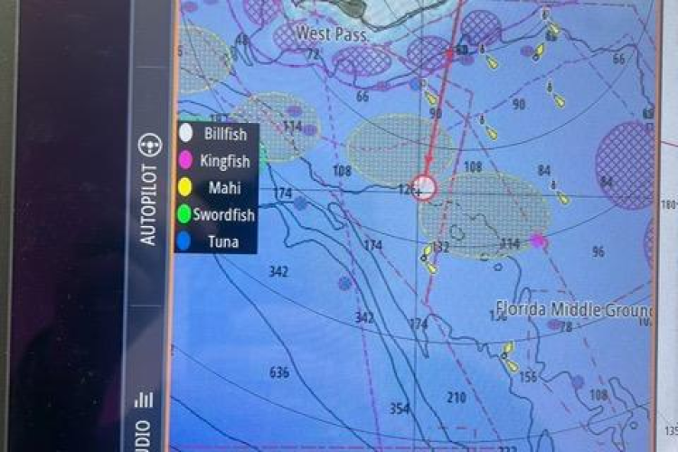 Steamer Yacht Photos Pics 