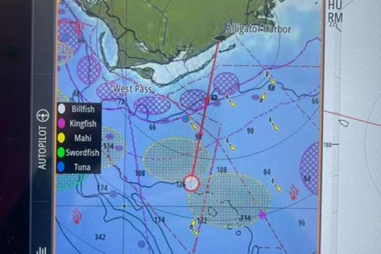 Steamer Yacht Photos Pics 