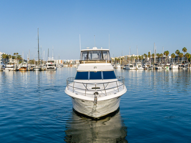 Oasis Yacht Photos Pics 