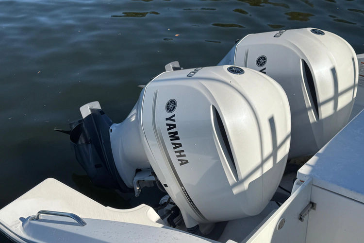 In Pursuit Yacht Photos Pics 