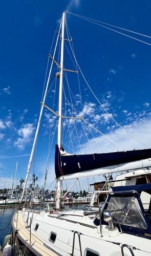 Chubby Bunny Yacht Photos Pics 