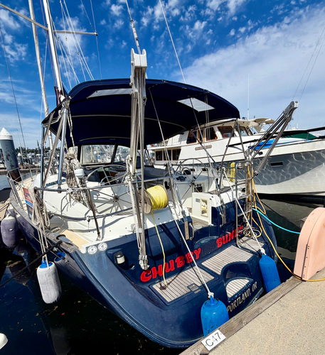 Chubby Bunny Yacht Photos Pics 