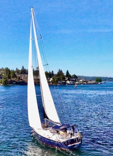Chubby Bunny Yacht Photos Pics 