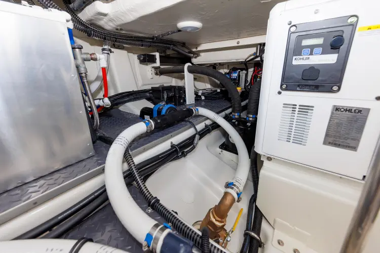 Cosmetic Sturgeon Yacht Photos Pics 