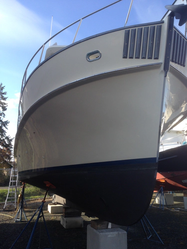 Endurance Yacht Photos Pics 