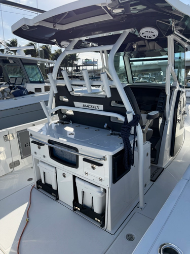 Our Trade Yacht Photos Pics 
