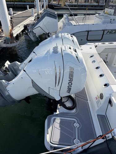 Our Trade Yacht Photos Pics 