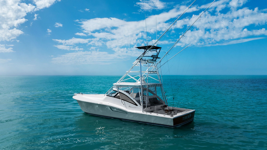 Tiburon Yacht Photos Pics 