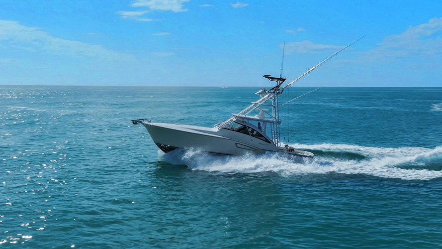 Tiburon Yacht Photos Pics 