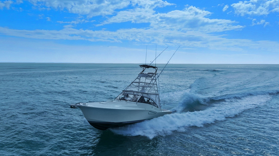 Tiburon Yacht Photos Pics 