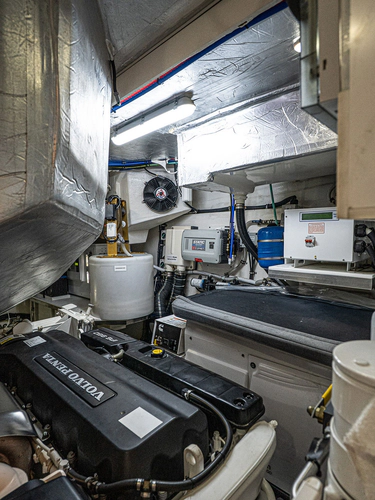 Tree-o Yacht Photos Pics 