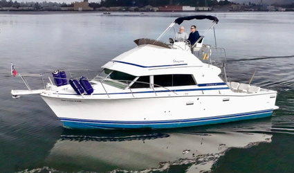 33' Bertram 1986