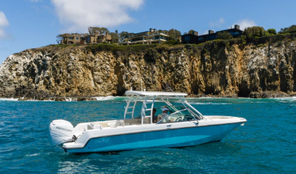 27' Boston Whaler 2014