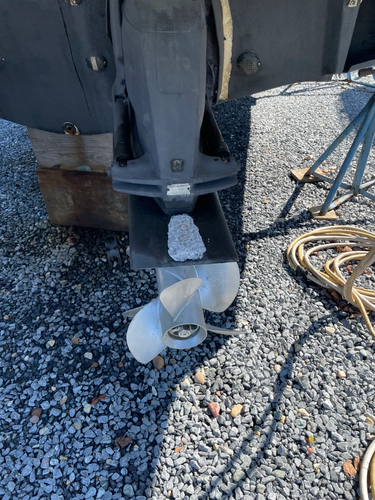 Seahorse Yacht Photos Pics 