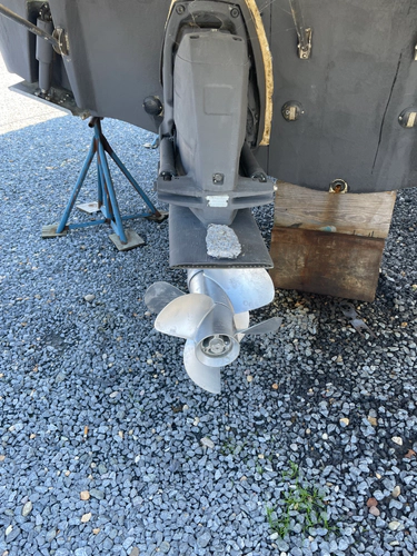 Seahorse Yacht Photos Pics 