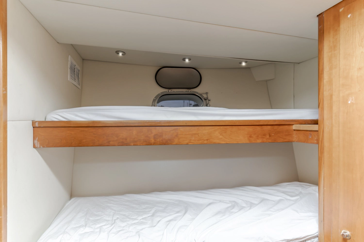 Active Octo Yacht Photos Pics 