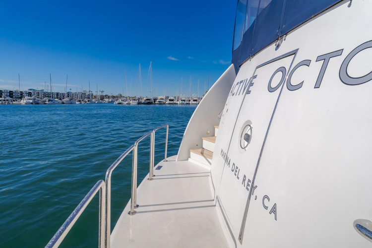 Active Octo Yacht Photos Pics 