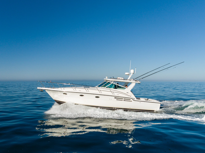 Bluefin Yacht Photos Pics 