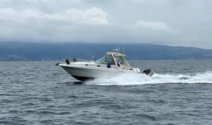 34' Sea Ray 2001
