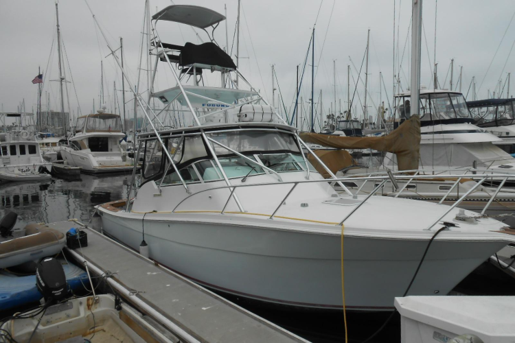 Beer Money Yacht Photos Pics 