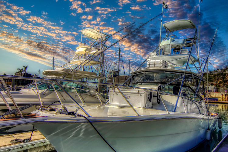 Beer Money Yacht Photos Pics 