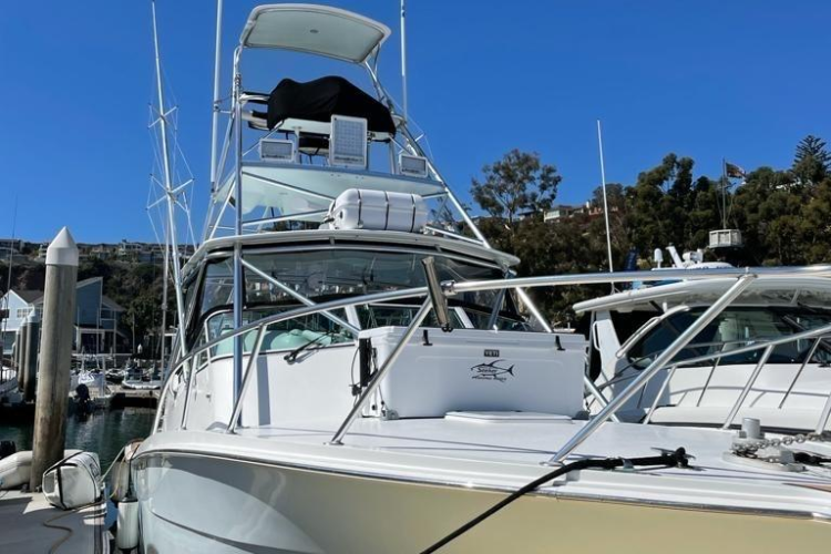 Beer Money Yacht Photos Pics 