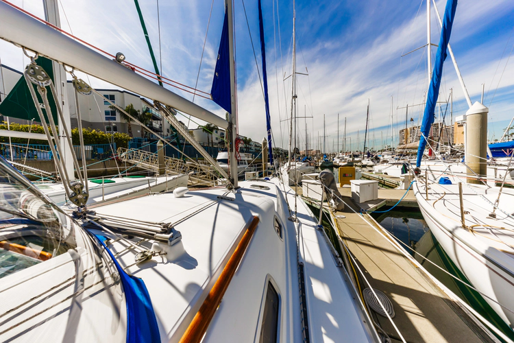 Lucky Socks Yacht Photos Pics 